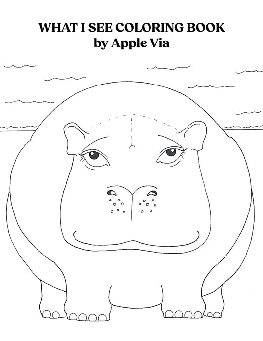 What I See: A Coloring Book of Self-Acceptance and Imagination